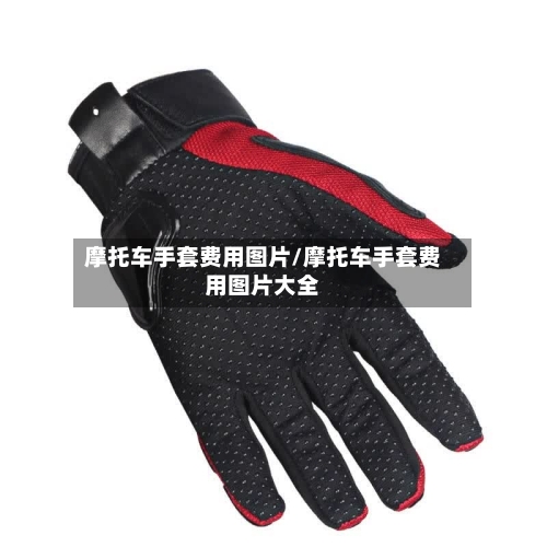 摩托车手套费用图片/摩托车手套费用图片大全