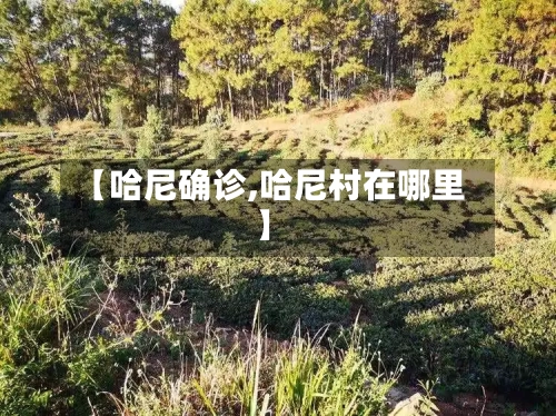 【哈尼确诊,哈尼村在哪里】