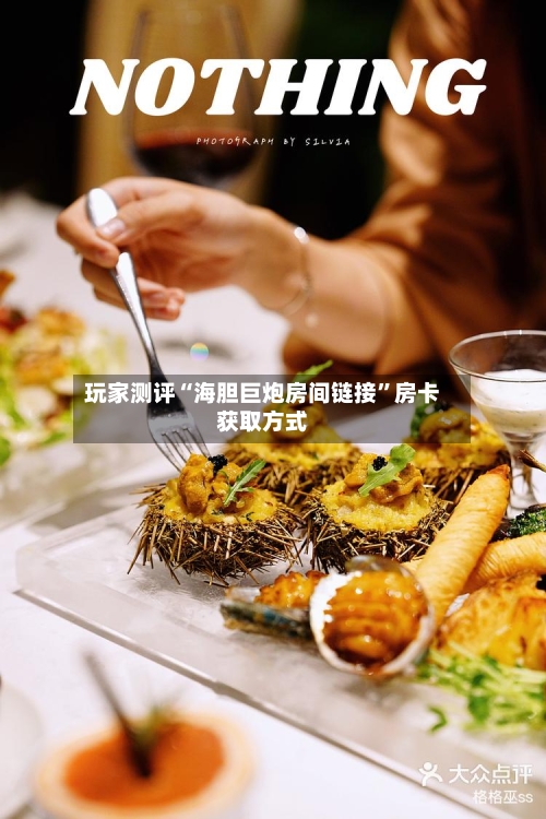 玩家测评“海胆巨炮房间链接”房卡获取方式-第2张图片