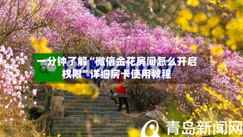 一分钟了解“微信金花房间怎么开启权限”详细房卡使用教程-第2张图片