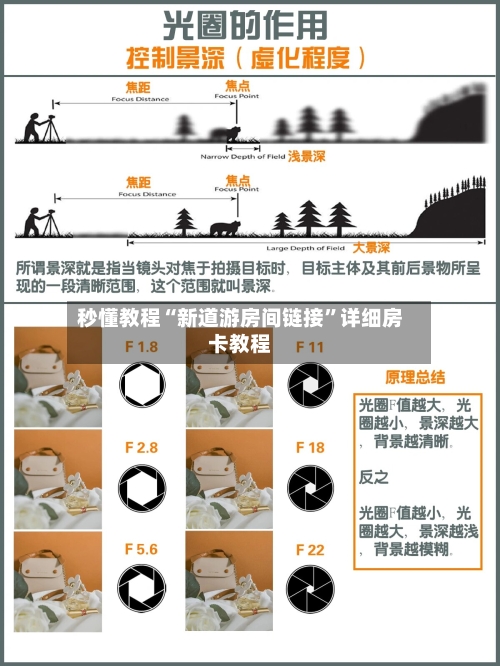 秒懂教程“新道游房间链接”详细房卡教程-第3张图片