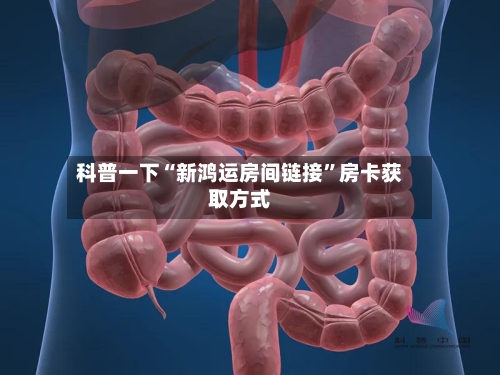 科普一下“新鸿运房间链接”房卡获取方式-第3张图片