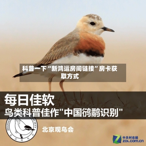 科普一下“新鸿运房间链接	”房卡获取方式-第2张图片