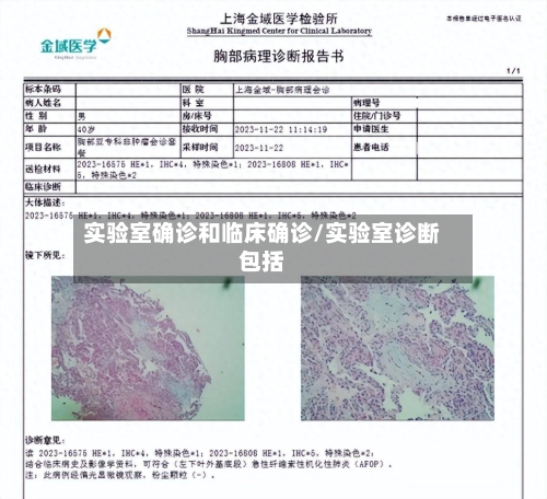 实验室确诊和临床确诊/实验室诊断包括
