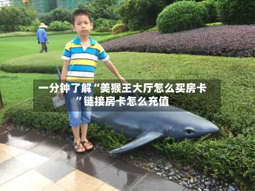 一分钟了解“美猴王大厅怎么买房卡”链接房卡怎么充值-第3张图片