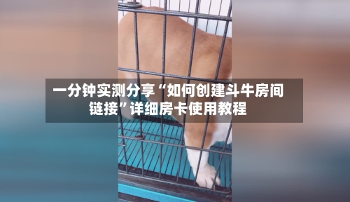 一分钟实测分享“如何创建斗牛房间链接”详细房卡使用教程-第2张图片