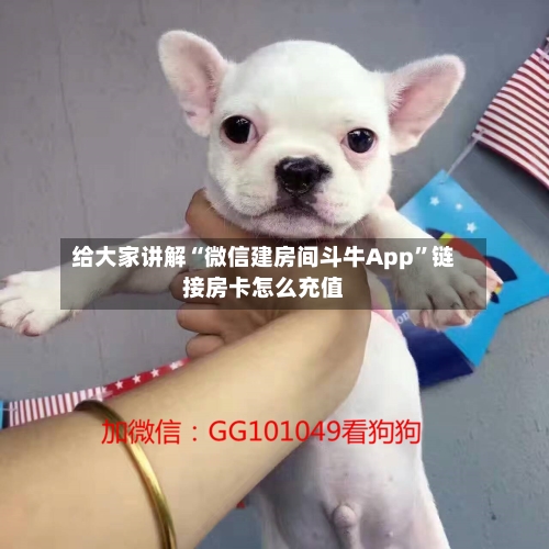 给大家讲解“微信建房间斗牛App”链接房卡怎么充值-第2张图片