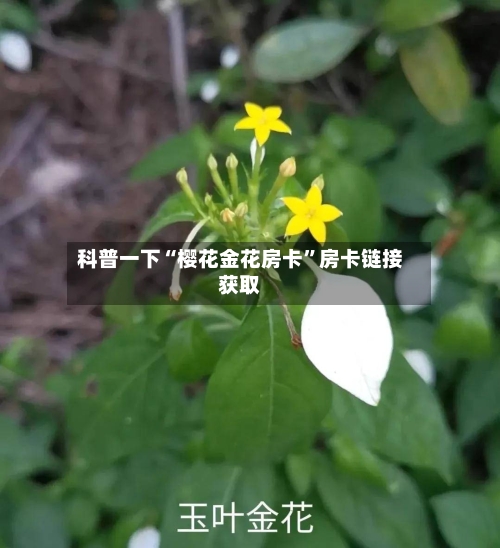 科普一下“樱花金花房卡”房卡链接获取