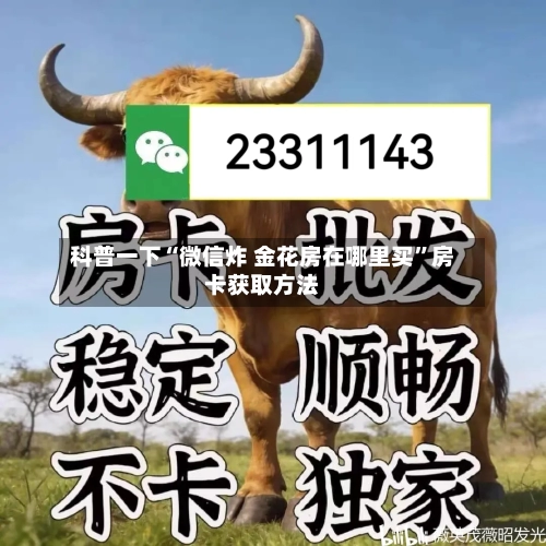 科普一下“微信炸 金花房在哪里买”房卡获取方法-第2张图片