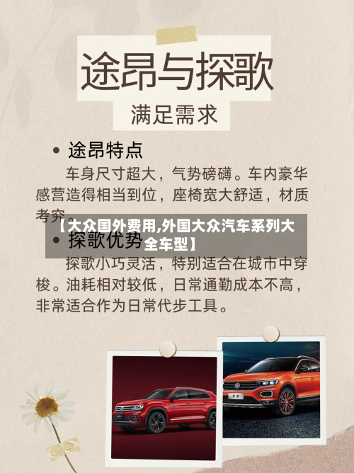 【大众国外费用,外国大众汽车系列大全车型】-第2张图片