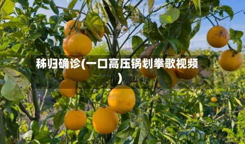 秭归确诊(一口高压锅划拳歌视频)