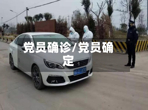 党员确诊/党员确定-第3张图片