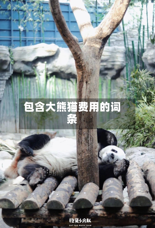 包含大熊猫费用的词条
