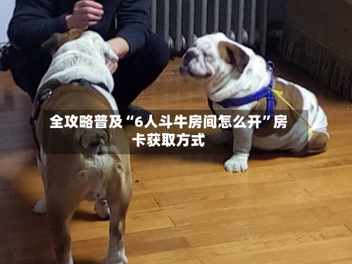 全攻略普及“6人斗牛房间怎么开”房卡获取方式