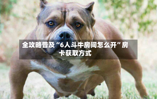 全攻略普及“6人斗牛房间怎么开”房卡获取方式-第2张图片
