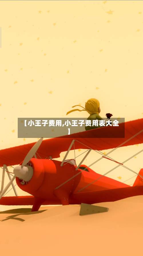 【小王子费用,小王子费用表大全】