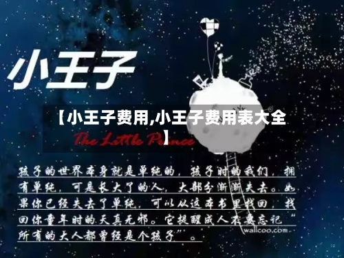 【小王子费用,小王子费用表大全】-第3张图片