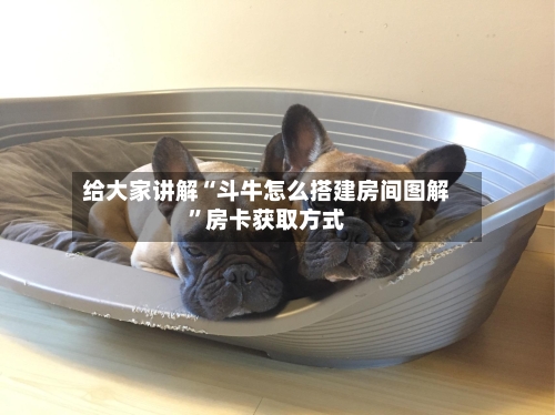 给大家讲解“斗牛怎么搭建房间图解”房卡获取方式-第2张图片