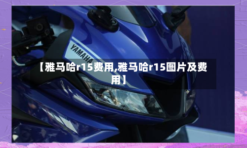 【雅马哈r15费用,雅马哈r15图片及费用】-第2张图片