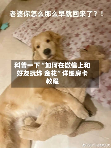 科普一下“如何在微信上和好友玩炸 金花”详细房卡教程