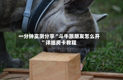 一分钟实测分享“斗牛跟朋友怎么开”详细房卡教程-第2张图片