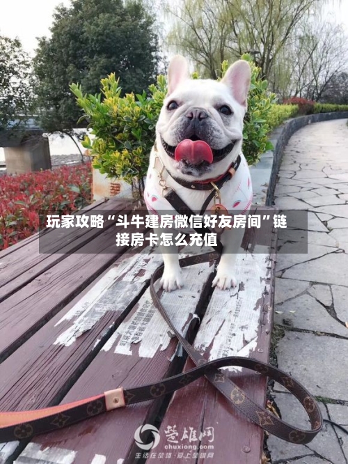 玩家攻略“斗牛建房微信好友房间	”链接房卡怎么充值-第2张图片