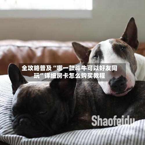 全攻略普及“哪一款斗牛可以好友同玩”详细房卡怎么购买教程-第2张图片