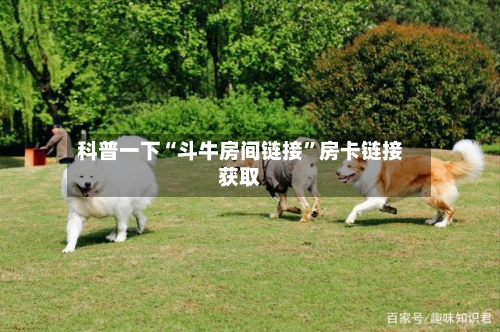 科普一下“斗牛房间链接”房卡链接获取