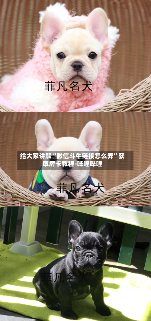 给大家讲解“微信斗牛链接怎么弄	”获取房卡教程-哔哩哔哩-第2张图片