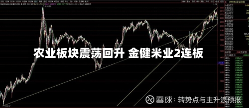 农业板块震荡回升 金健米业2连板-第2张图片