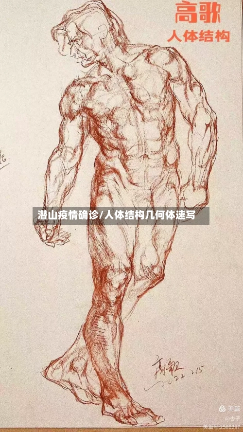 潜山疫情确诊/人体结构几何体速写