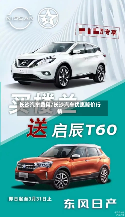 长沙汽车费用/长沙汽车优惠降价行情