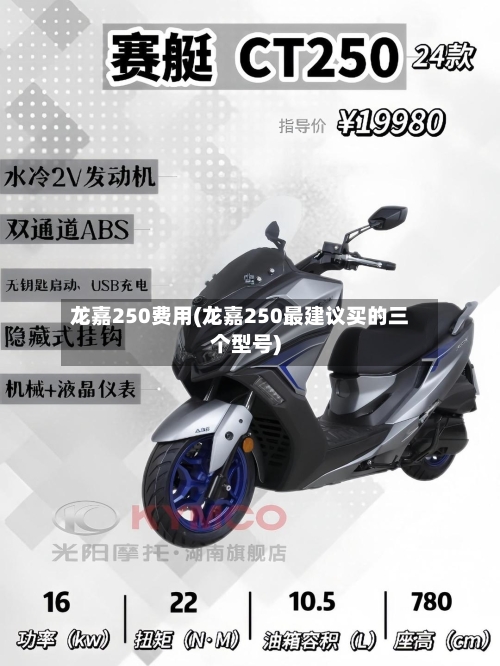 龙嘉250费用(龙嘉250最建议买的三个型号)-第2张图片