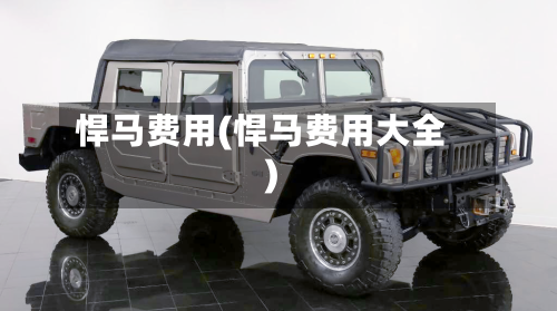 悍马费用(悍马费用大全)-第3张图片
