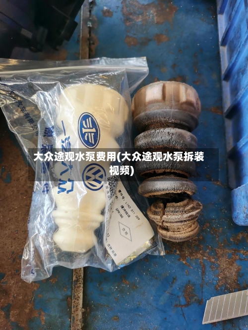 大众途观水泵费用(大众途观水泵拆装视频)-第2张图片