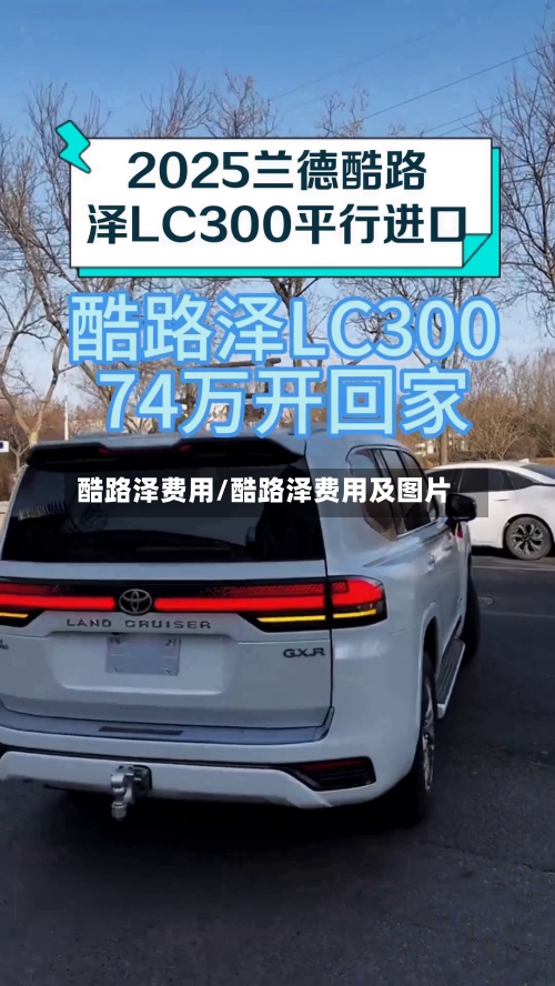 酷路泽费用/酷路泽费用及图片