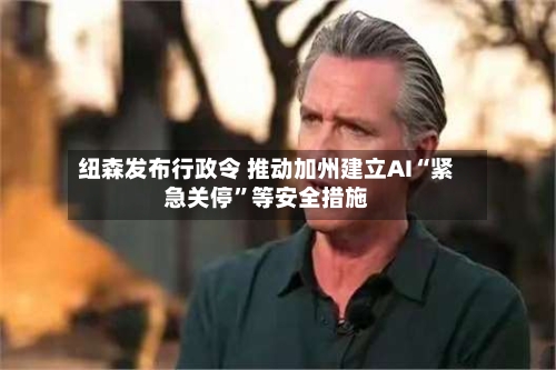 纽森发布行政令 推动加州建立AI“紧急关停	”等安全措施-第3张图片