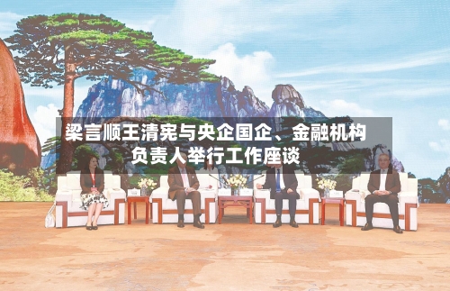 梁言顺王清宪与央企国企、金融机构负责人举行工作座谈-第2张图片
