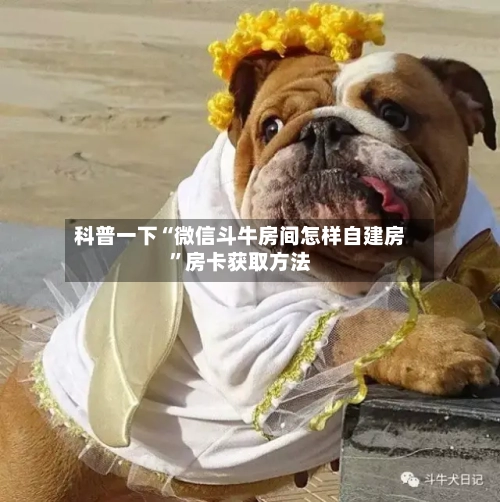 科普一下“微信斗牛房间怎样自建房”房卡获取方法-第2张图片