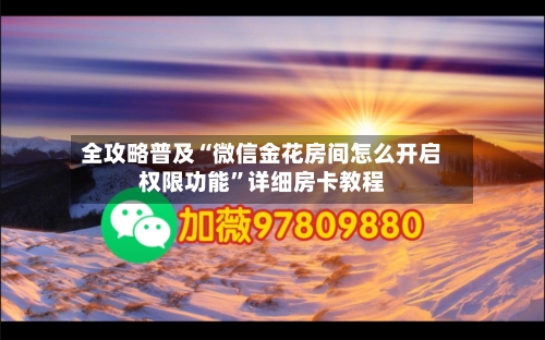 全攻略普及“微信金花房间怎么开启权限功能”详细房卡教程-第2张图片