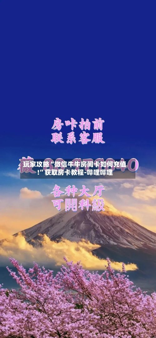玩家攻略“微信牛牛房间卡如何充值!”获取房卡教程-哔哩哔哩-第2张图片