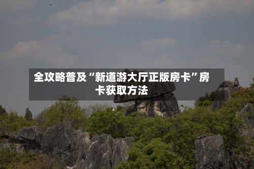 全攻略普及“新道游大厅正版房卡	”房卡获取方法-第2张图片
