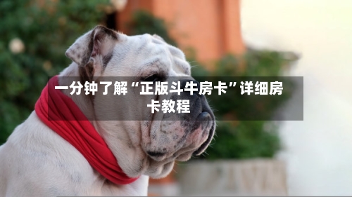 一分钟了解“正版斗牛房卡”详细房卡教程-第3张图片