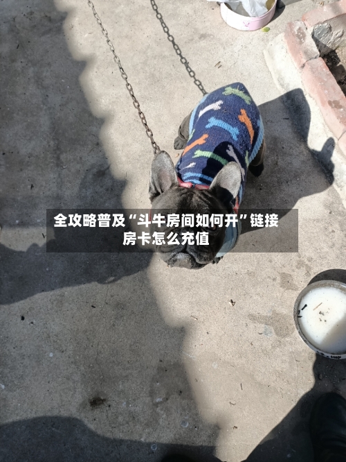 全攻略普及“斗牛房间如何开	”链接房卡怎么充值-第3张图片