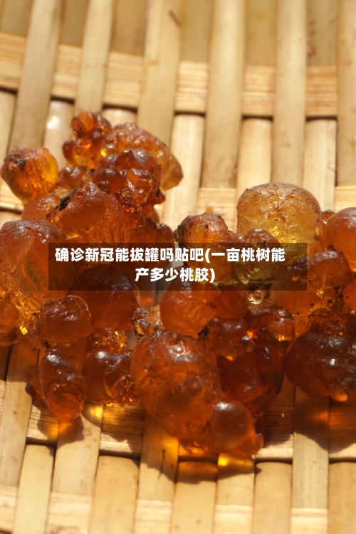 确诊新冠能拔罐吗贴吧(一亩桃树能产多少桃胶)-第2张图片