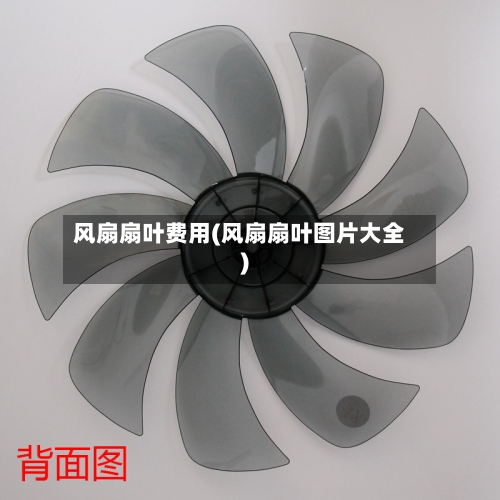 风扇扇叶费用(风扇扇叶图片大全)