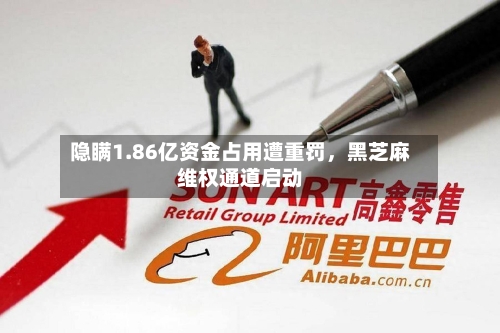 隐瞒1.86亿资金占用遭重罚，黑芝麻维权通道启动-第2张图片