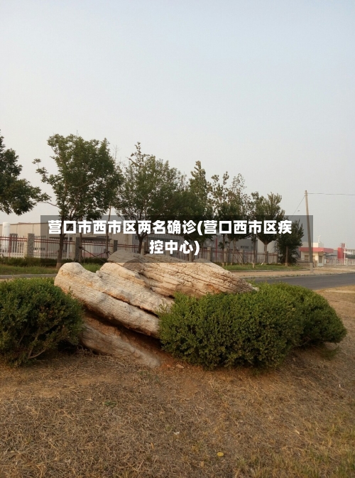 营口市西市区两名确诊(营口西市区疾控中心)-第2张图片