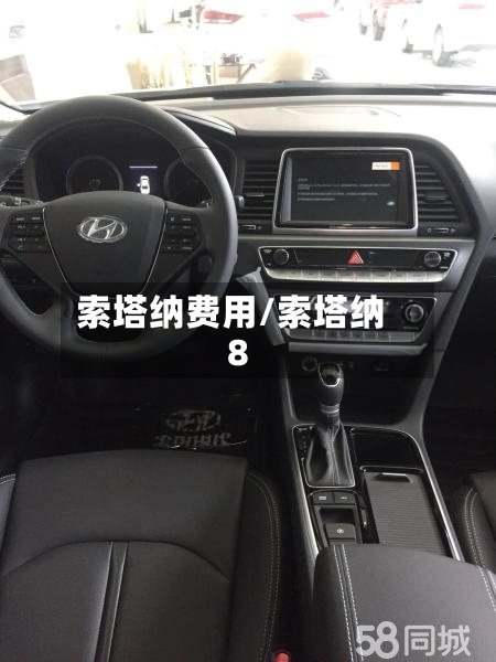 索塔纳费用/索塔纳8