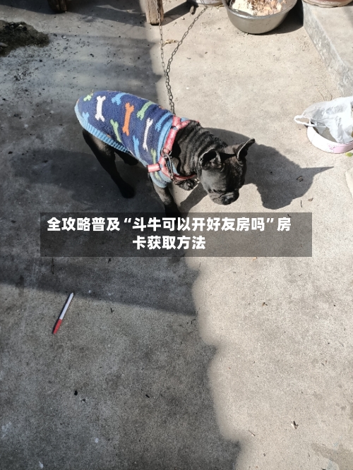 全攻略普及“斗牛可以开好友房吗”房卡获取方法